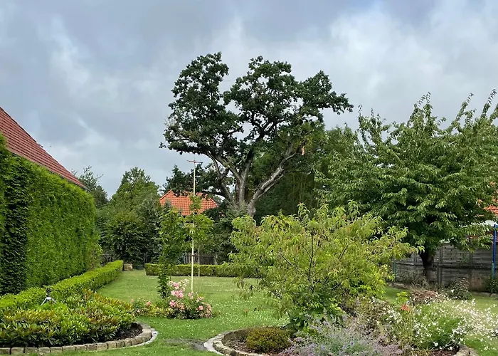 Belluranaprivate Home